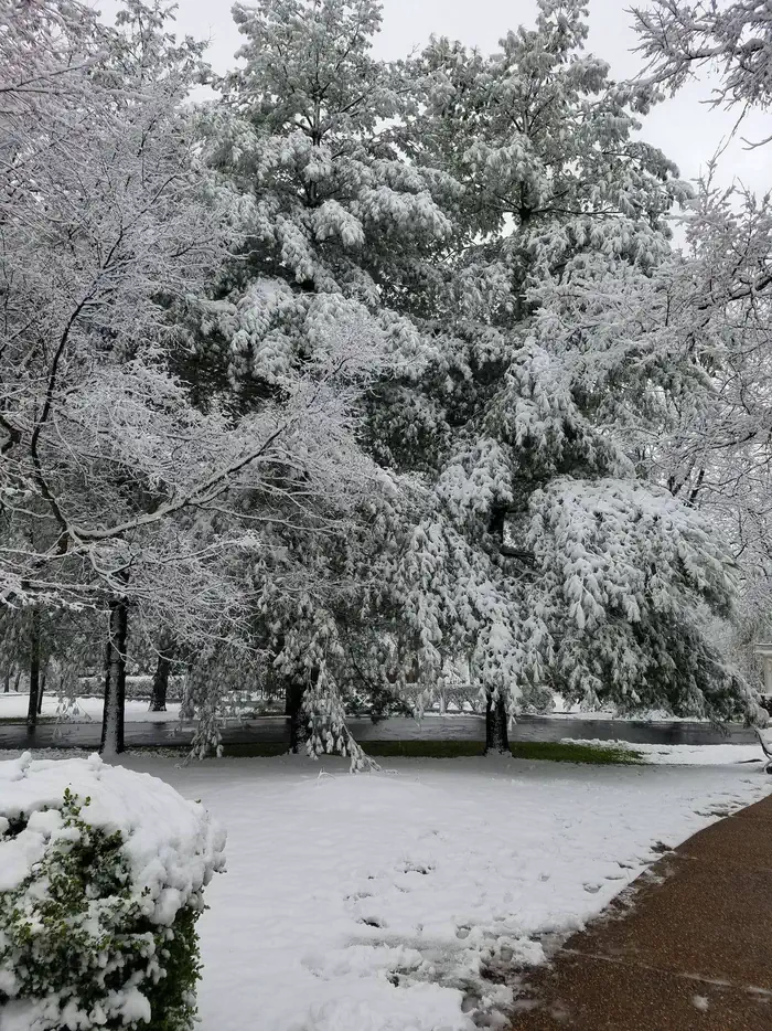 HAWTHORN BLUFF photo 5