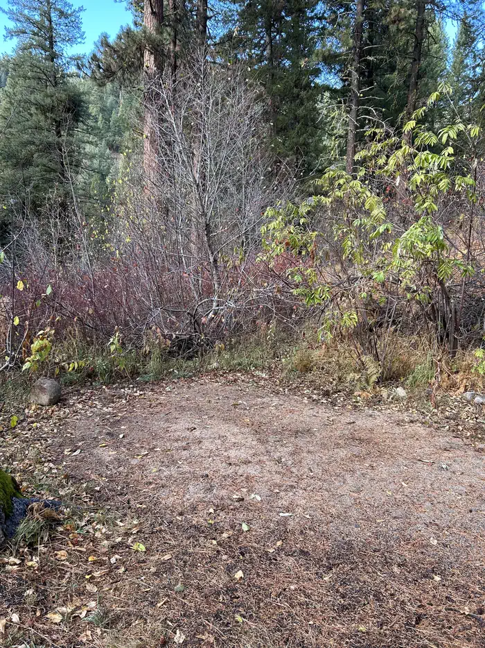 HAYFORK GROUP CG photo 5