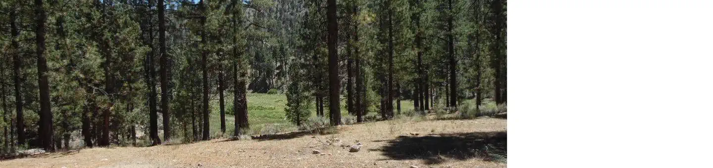 HEART BAR CAMPGROUND photo