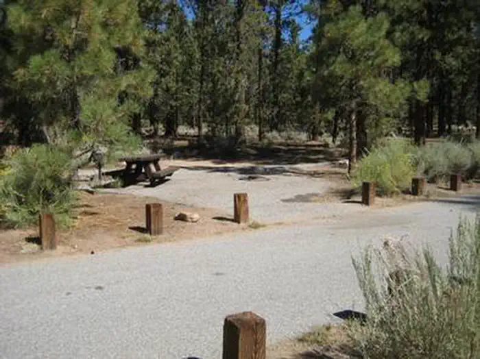 HEART BAR CAMPGROUND photo 3