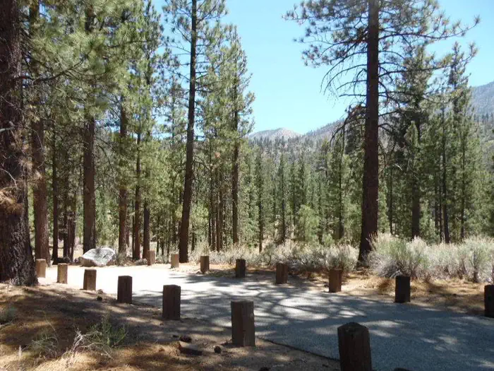 HEART BAR CAMPGROUND photo 4