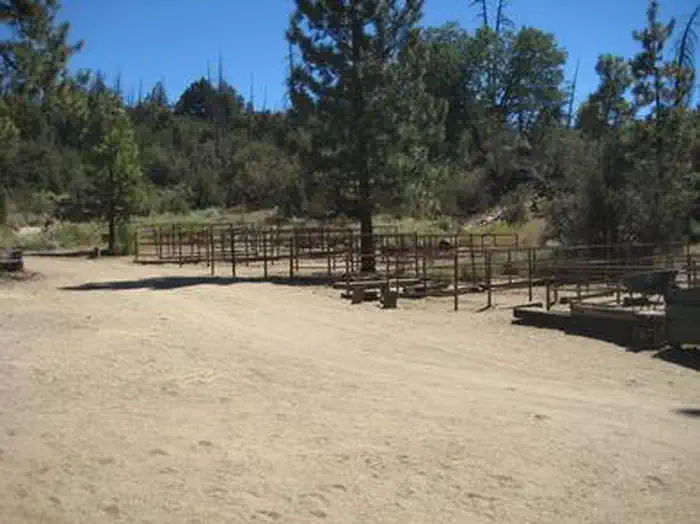 HEART BAR EQUESTRIAN photo 3