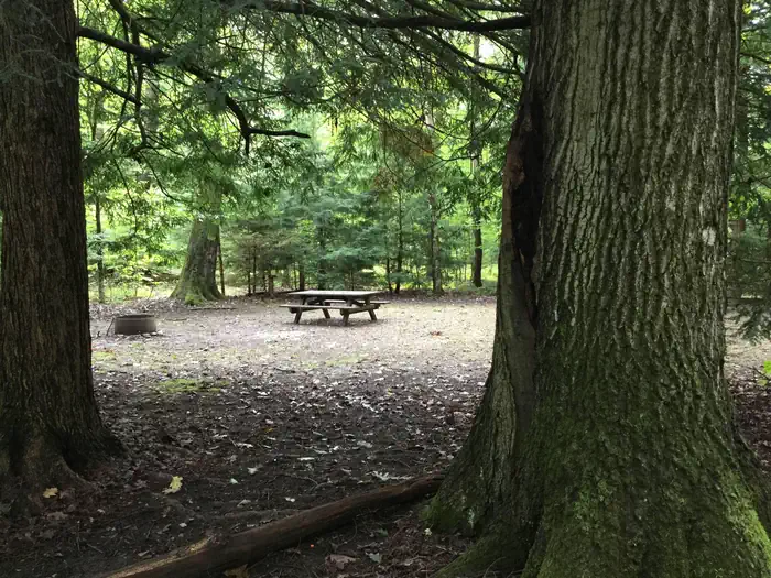 HEARTS CONTENT RECREATION AREA photo 2