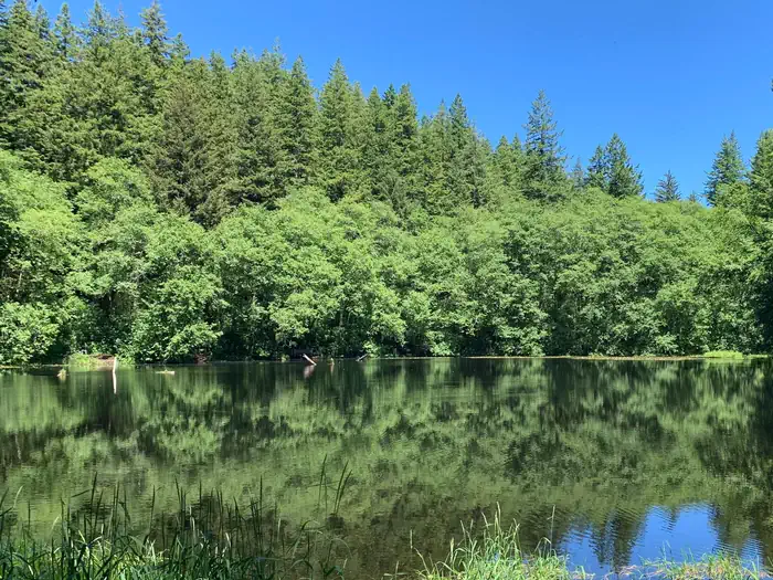 HEBO LAKE CAMPGROUND photo 2