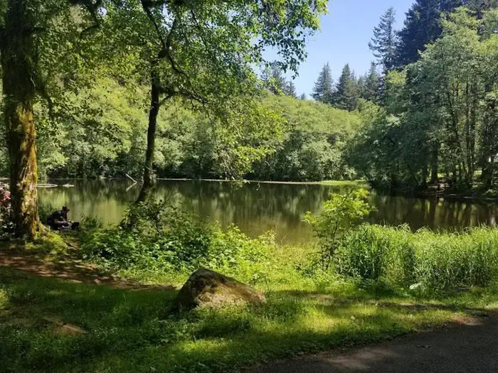 HEBO LAKE CAMPGROUND photo 3
