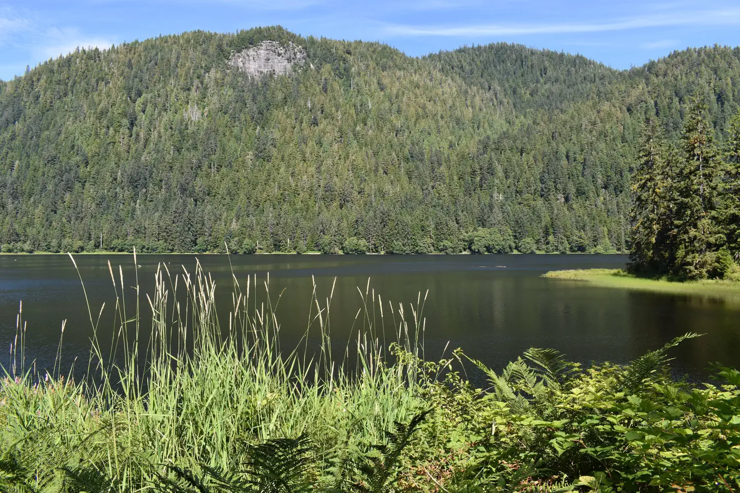 HECKMAN LAKE CABIN photo 2