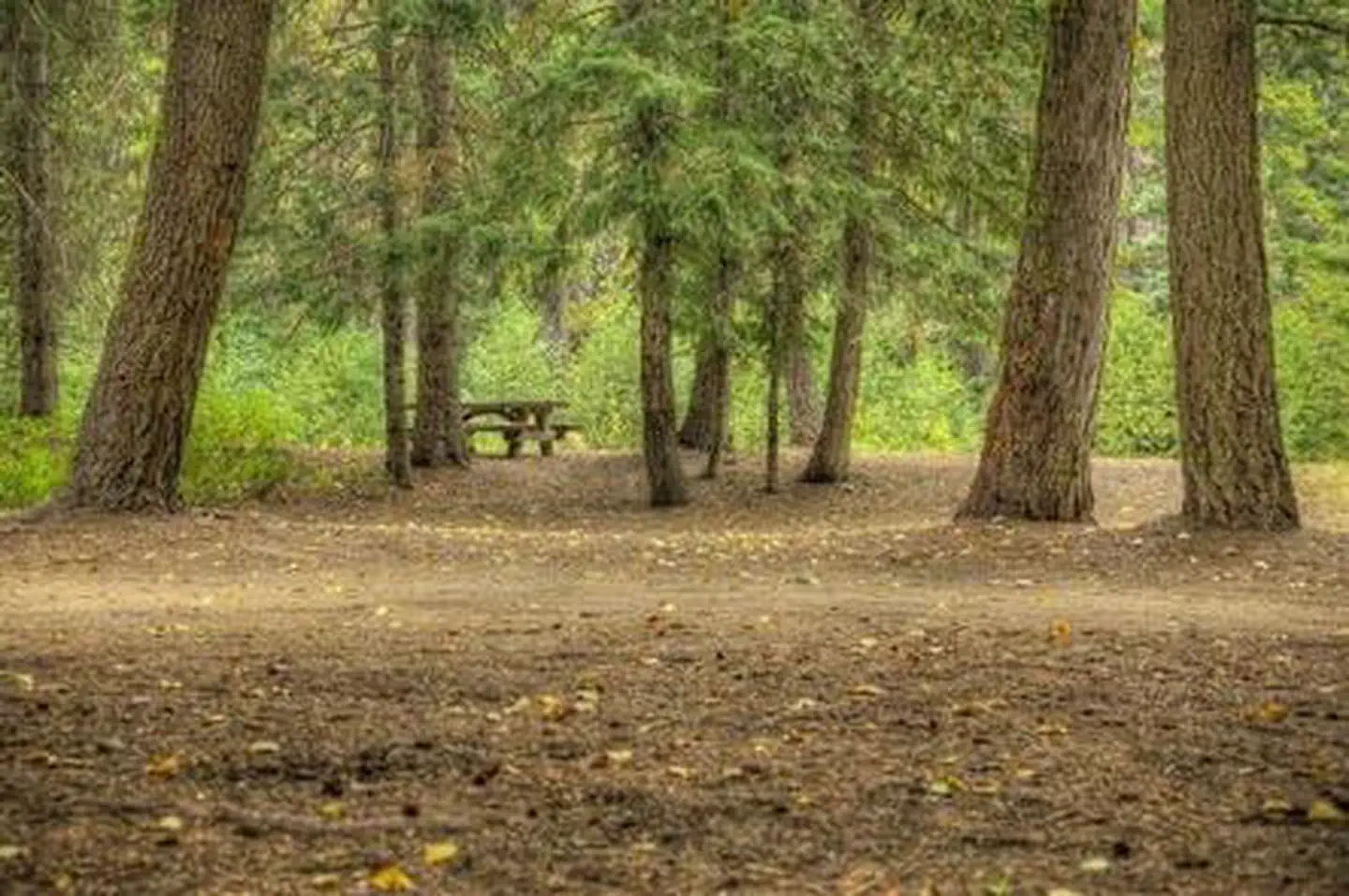 HELLS CROSSING CAMPGROUND photo 2