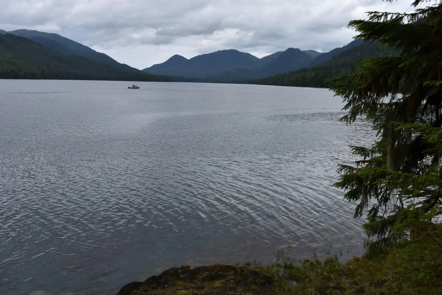HELM CREEK CABIN photo 5
