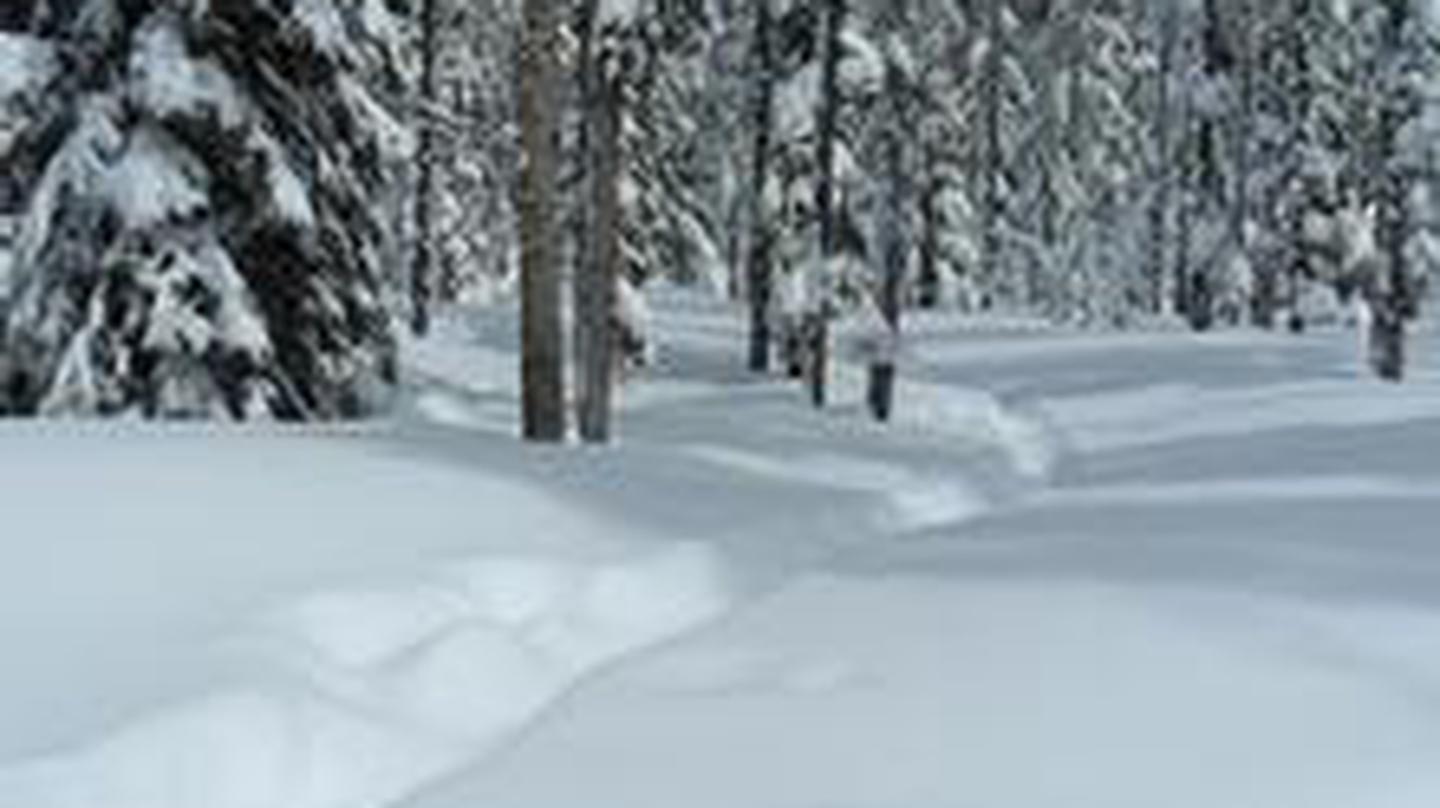 HEMLOCK CABIN photo