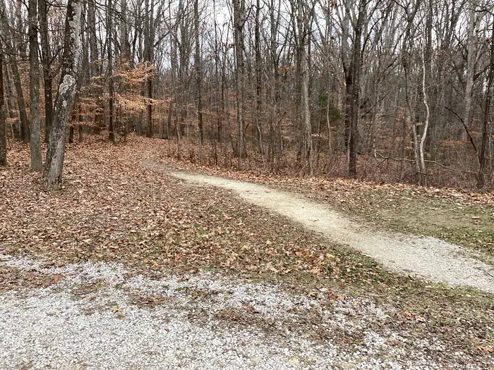 Hickory Ridge Campground photo 4