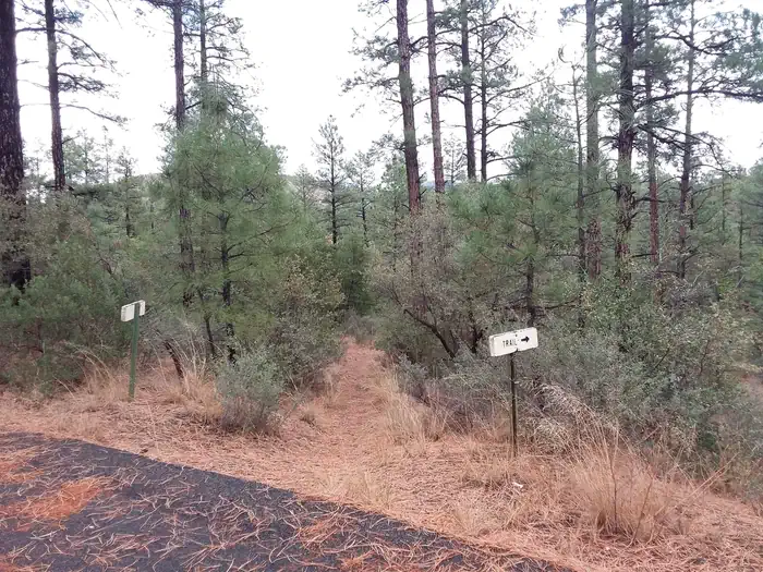 Hilltop Campground (AZ) photo 5