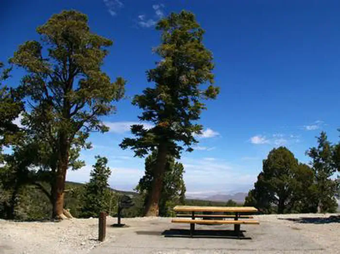 HILLTOP photo 2