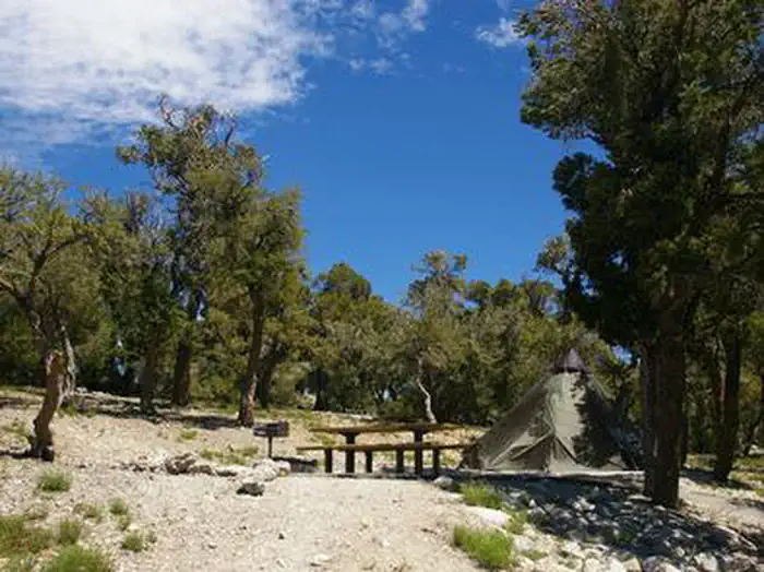 HILLTOP photo 3