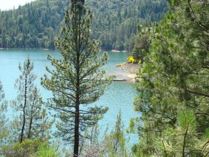 HIRZ BAY photo 4