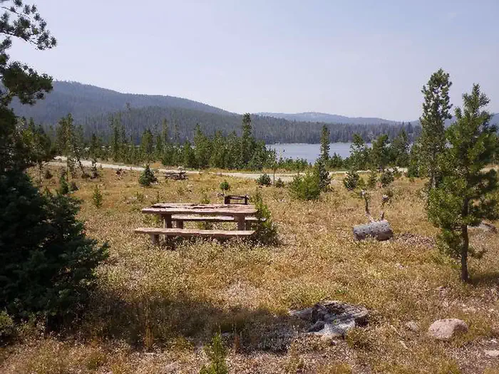 HOG PARK CAMPGROUND photo 3