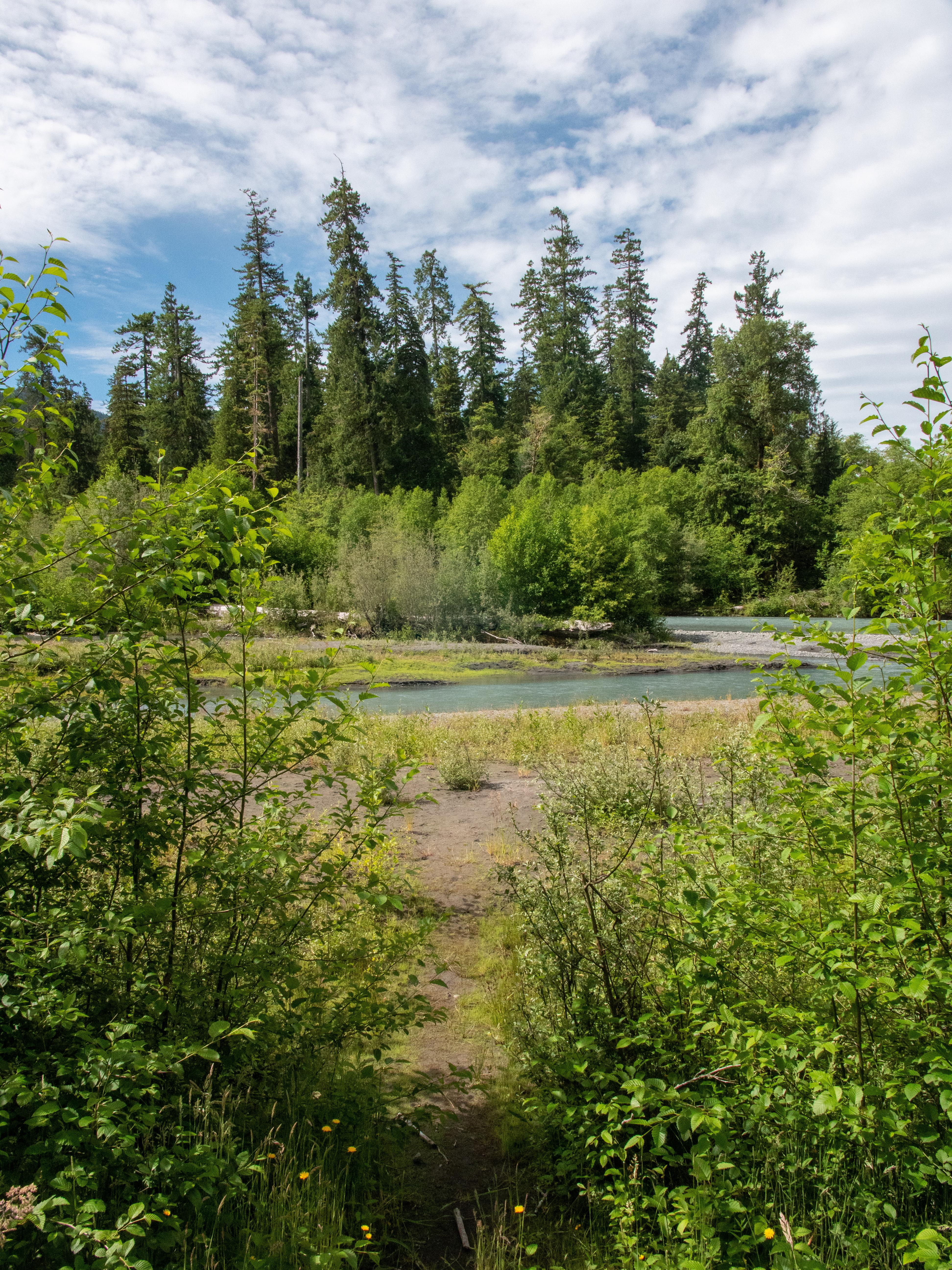 Hoh Rainforest Campground photo 2