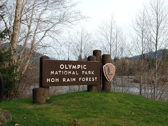 Hoh Rainforest Campground photo 5