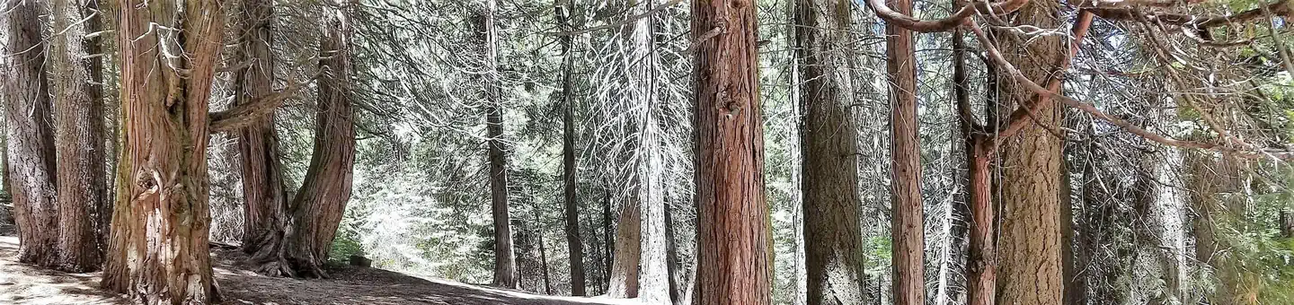 HOLEY MEADOW photo