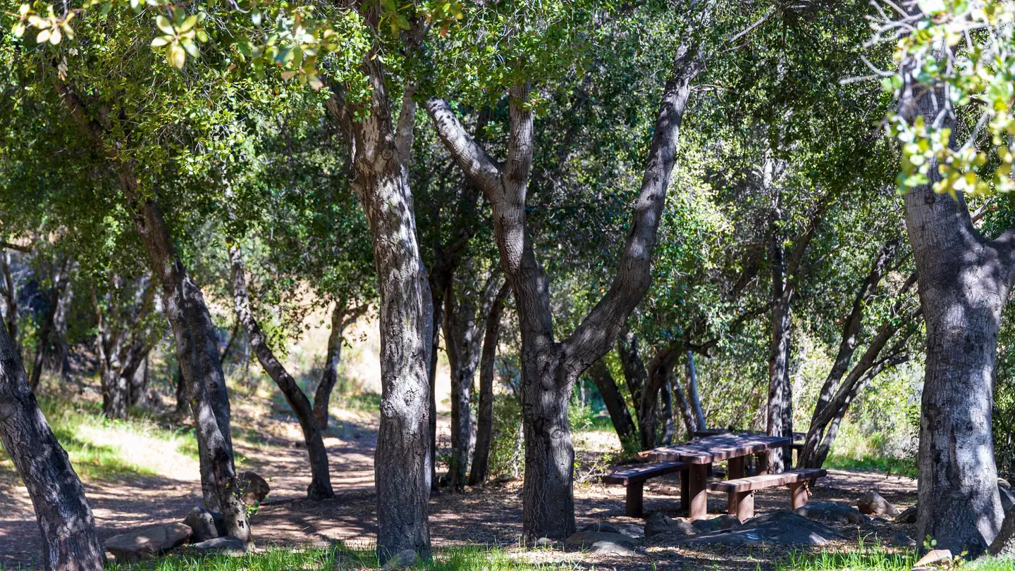 HOLIDAY GROUP CAMPGROUND photo