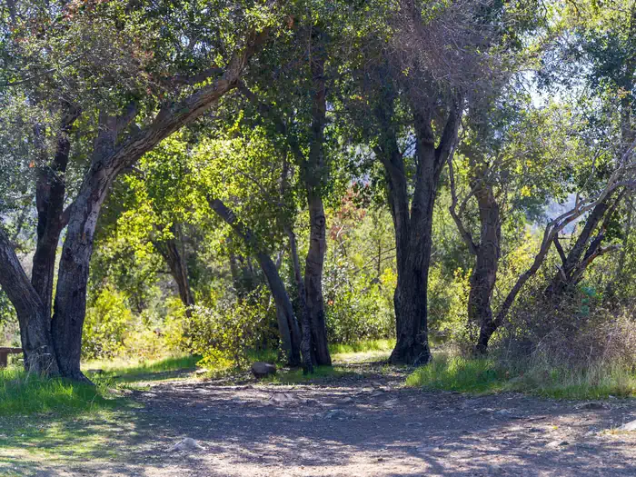 HOLIDAY GROUP CAMPGROUND photo 2