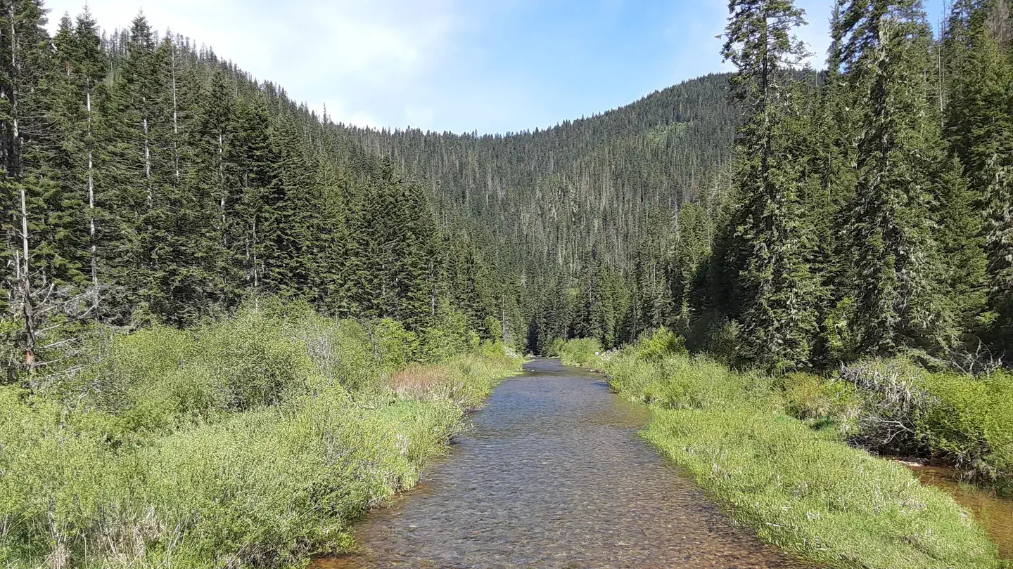 Honeysuckle Campground photo