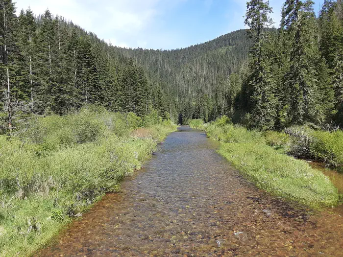 Honeysuckle Campground photo 2