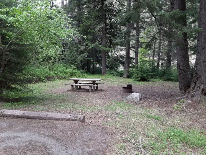 Honeysuckle Campground photo 3