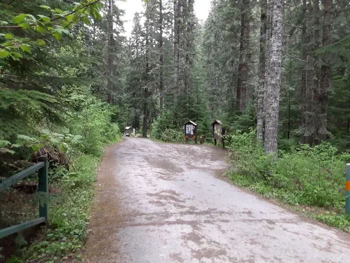 Honeysuckle Campground photo 5