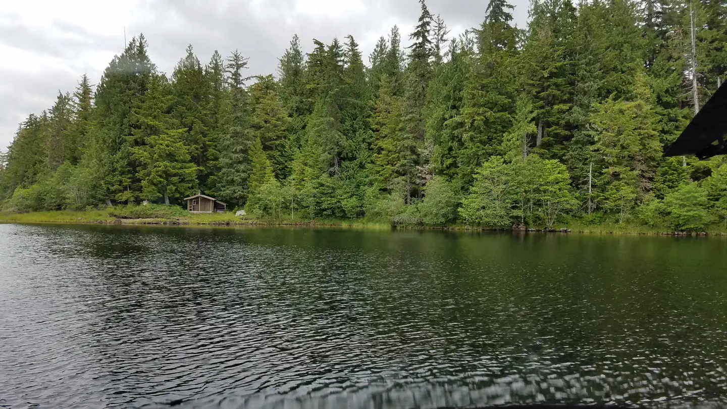 HONKER LAKE CABIN photo 3