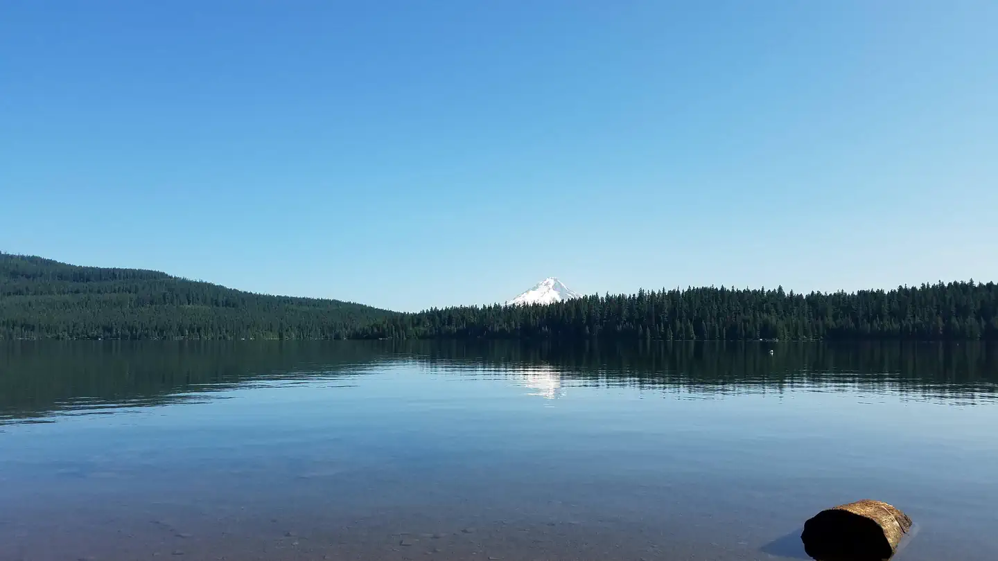 Hoodview Campground (Timothy Lake, OR) photo