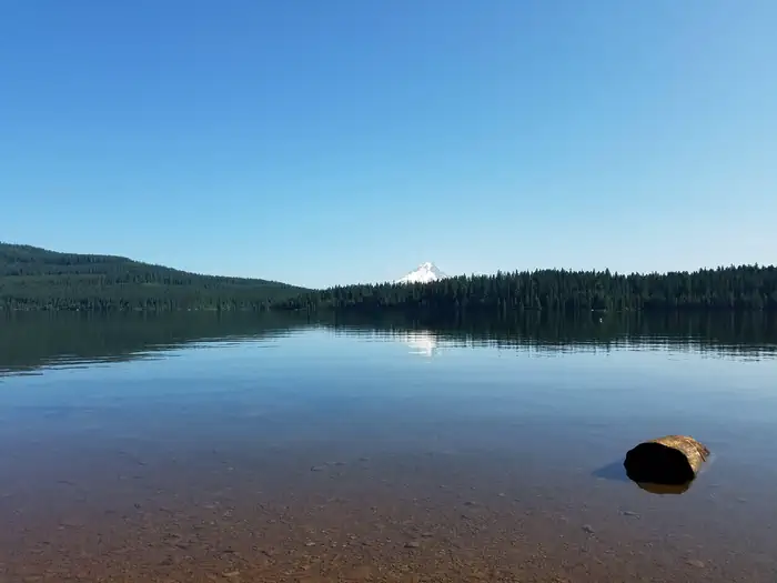 Hoodview Campground (Timothy Lake, OR) photo 2