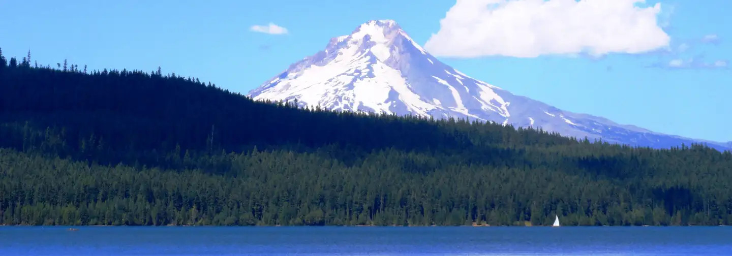 Hoodview Campground (Timothy Lake, OR) photo 4