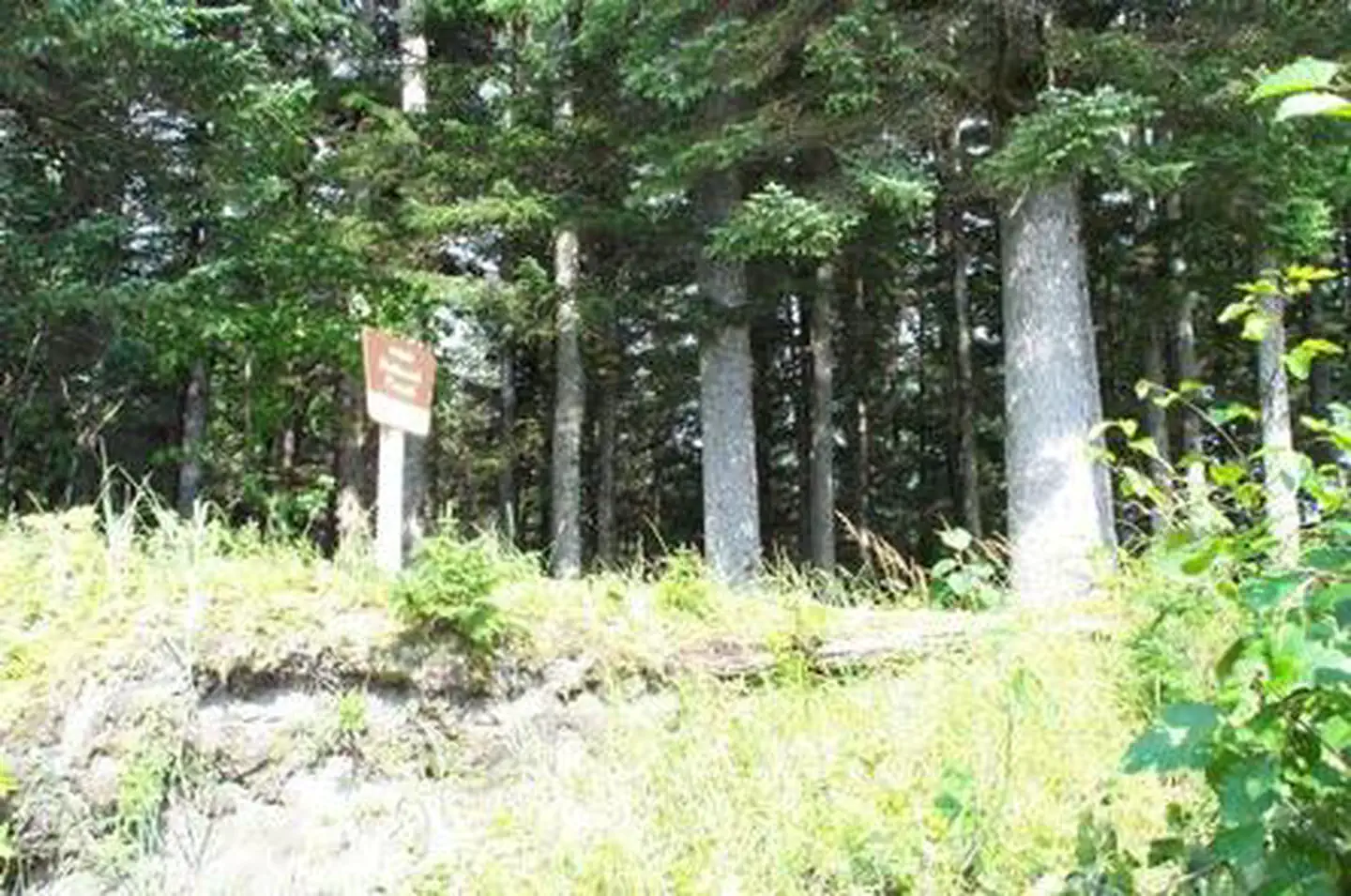 HOOK POINT CABIN photo 4