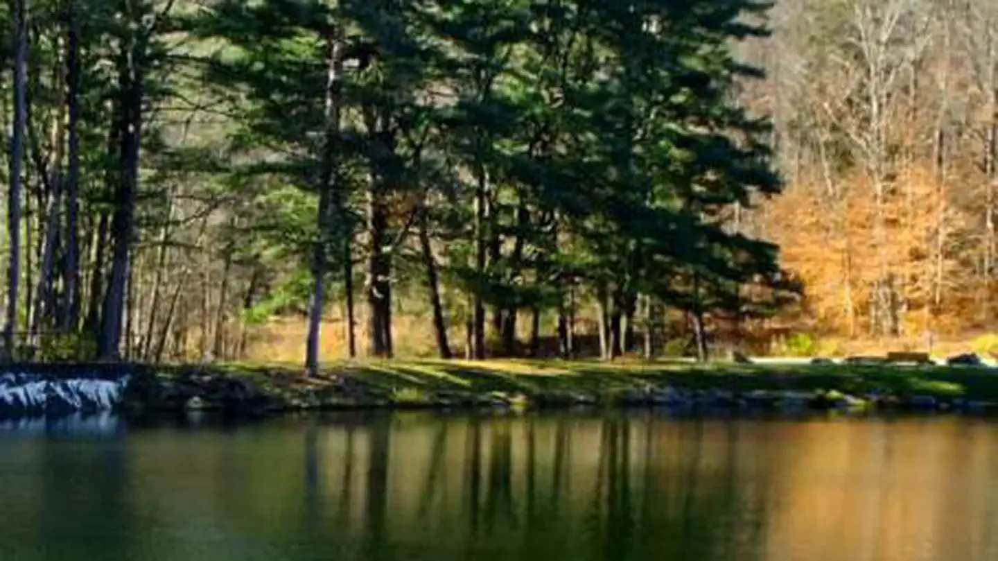 Hooks Brook Boat Access Campground photo