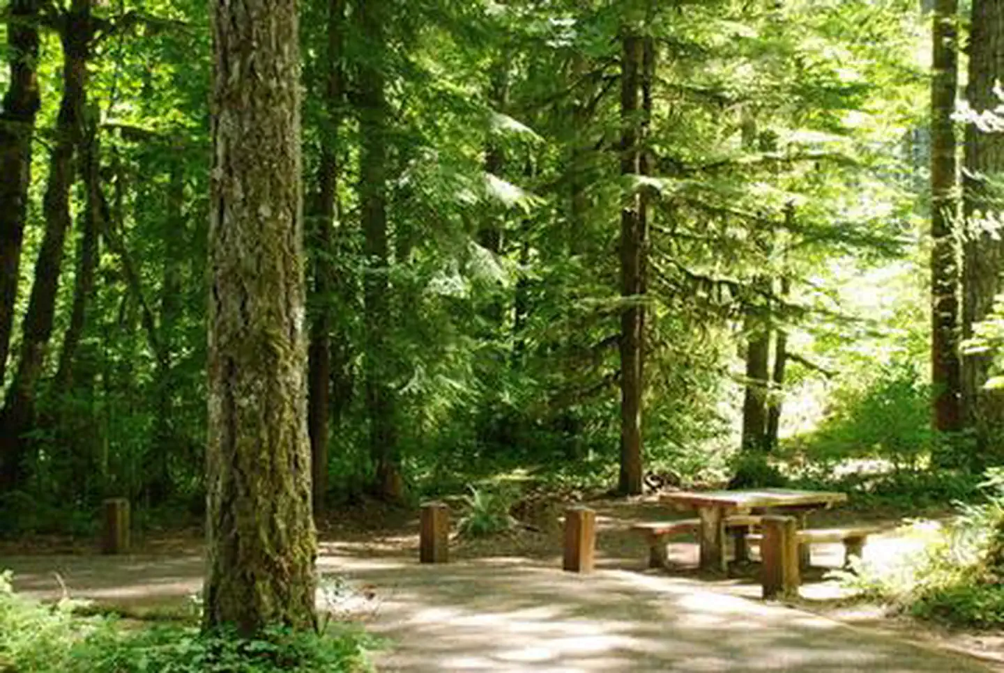 HOOVER CAMPGROUND photo 2