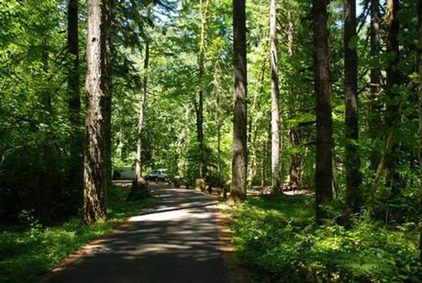HOOVER CAMPGROUND photo 4