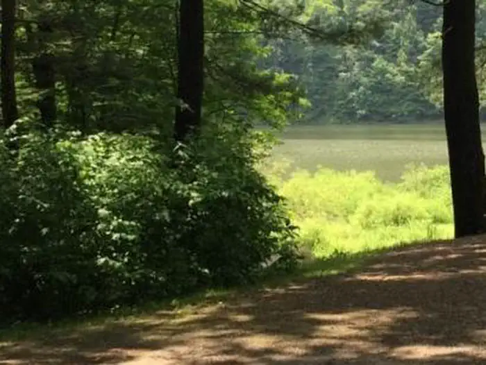 Hopewell Boat Access Campground photo 2