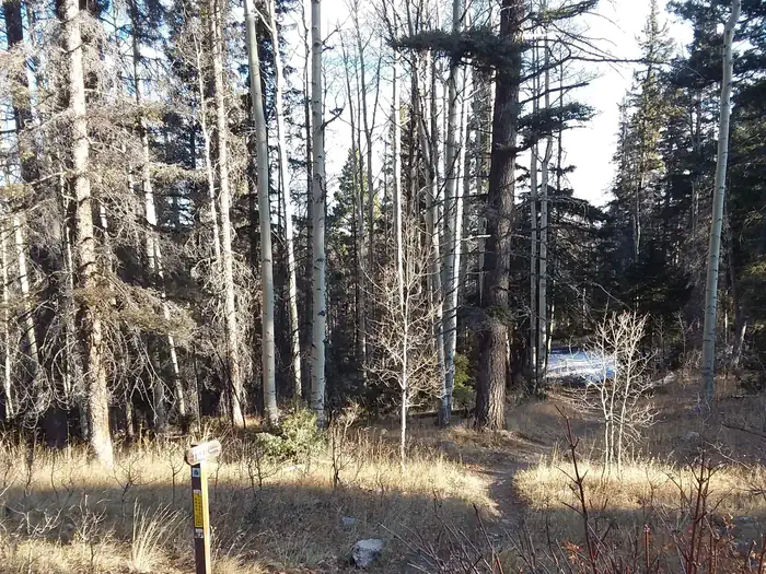 HOPEWELL LAKE CAMPGROUND photo 2