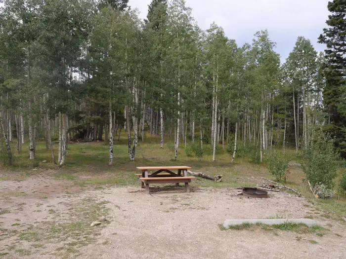 HOPEWELL LAKE CAMPGROUND photo 3
