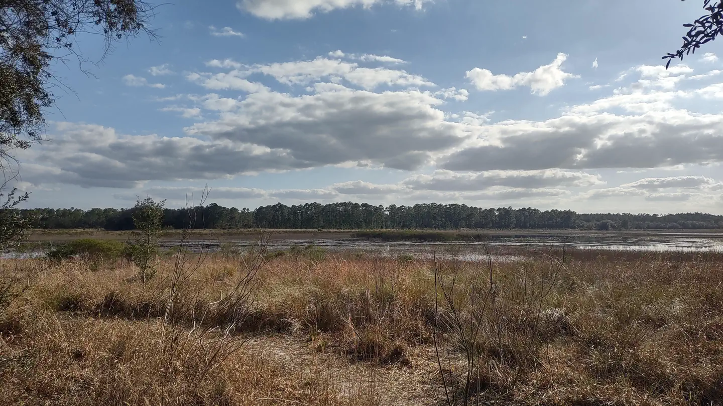 Hopkins Prairie Campground photo