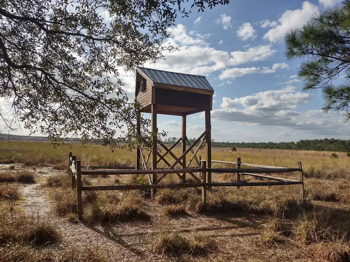 Hopkins Prairie Campground photo 3