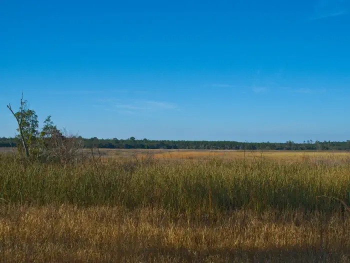 Hopkins Prairie Campground photo 4
