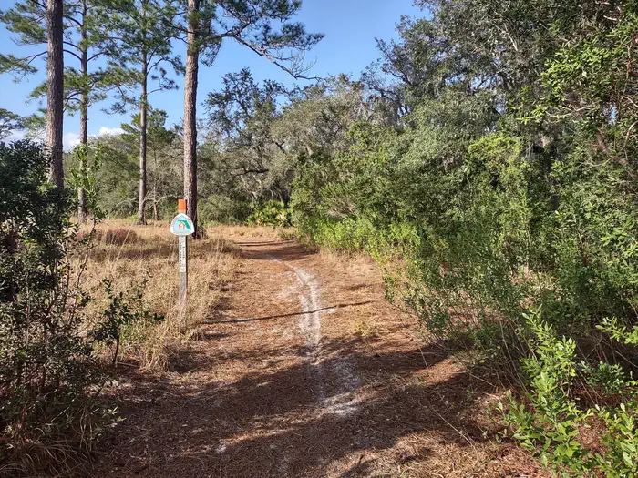 Hopkins Prairie Campground photo 5
