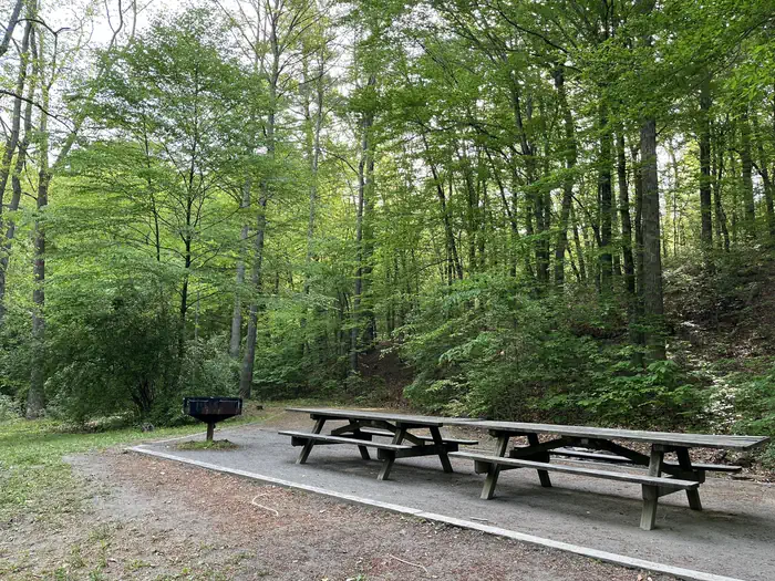 HOPPER CREEK GROUP CAMP photo 3