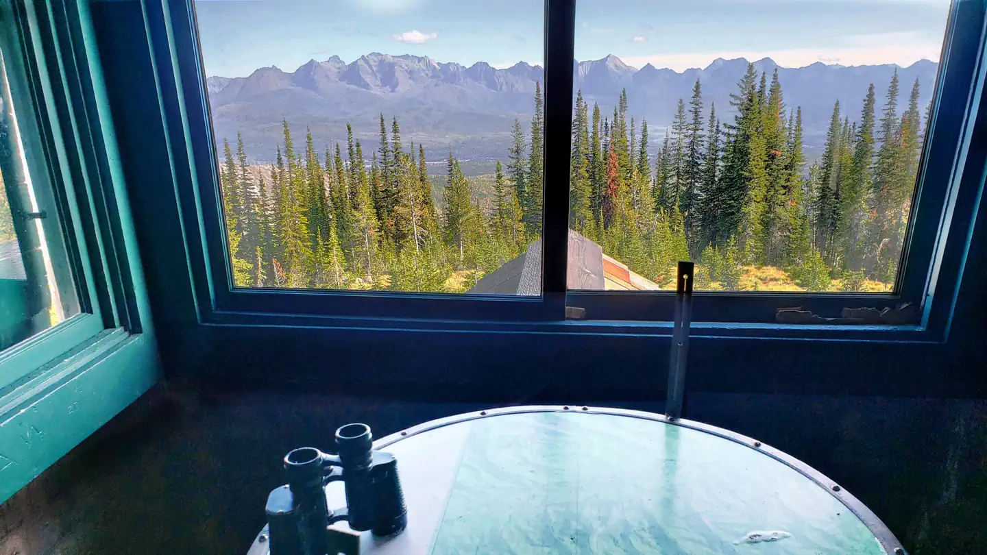 HORNET LOOKOUT photo