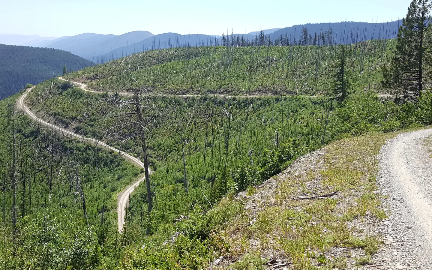 HORNET LOOKOUT photo 5