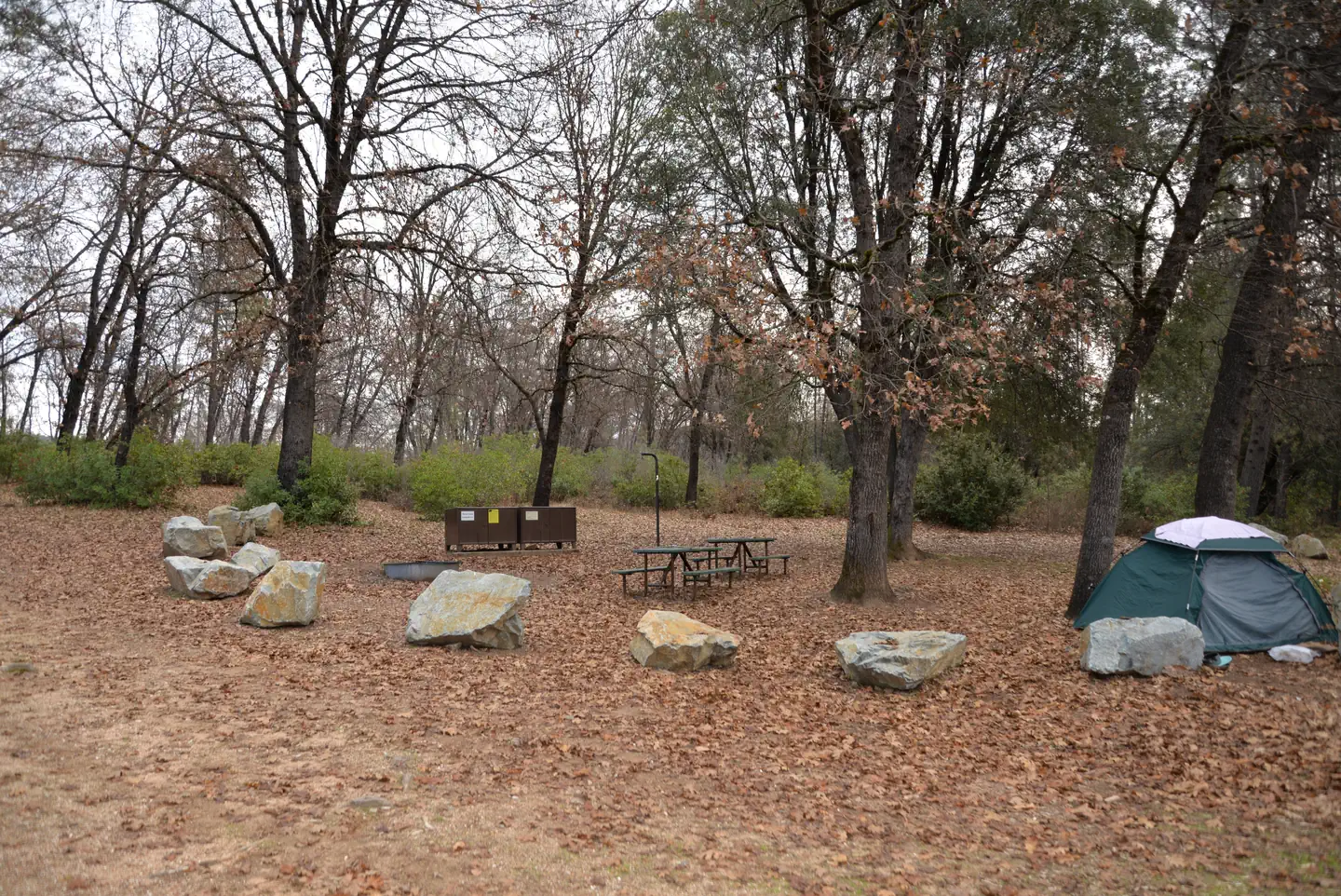 HORSE CAMP PRIMITIVE CAMPGROUND photo 2