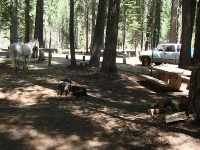 HORSE CAMPGROUND photo 2