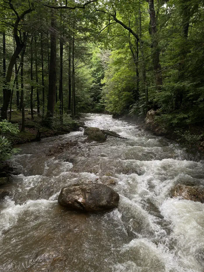 Horse Creek Recreation Area photo 4