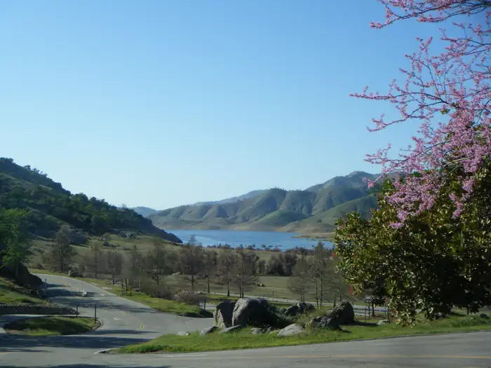 HORSE CREEK photo 3